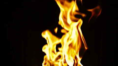 Fire burning stove Stock Footage 76582250