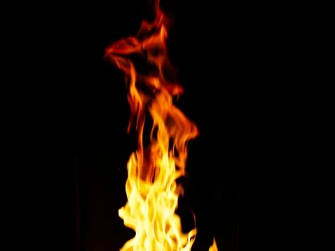 Fire burning stove Stock Footage 76583689