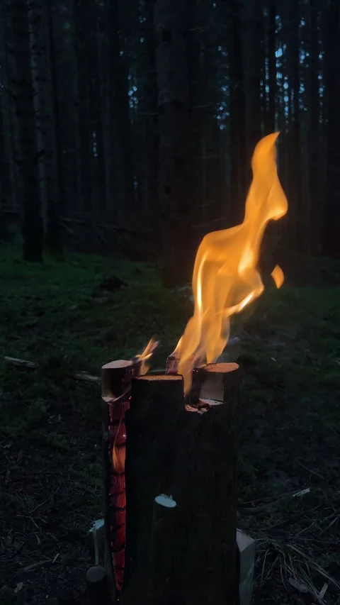 Fire burning stub on plate for rest or to cook food chill mood Stock Footage 323768754