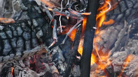 Fire is burning timber. Video stock 54824811