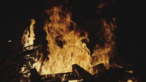 Fire Burning Tree Branches Stock-Footage 150689159