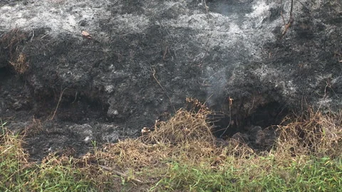 Fire Burning Underground During Peat Fire, Indonesia Stock Footage 142851337