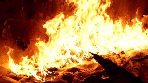 Fire. Burning wall. Stock Footage 68659747