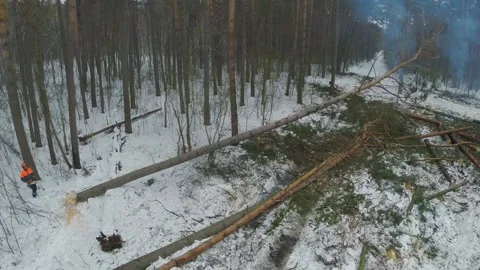 A fire is burning in the winter forest. Video from a helicopter. Video stock 100154671