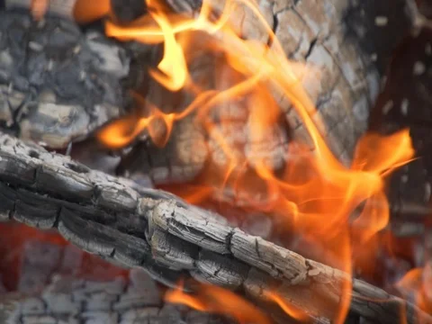 Fire: burning wood and smoldering embers 動画素材 77917772