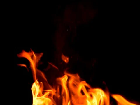 Fire: burning wood and smoldering embers 動画素材 78551519