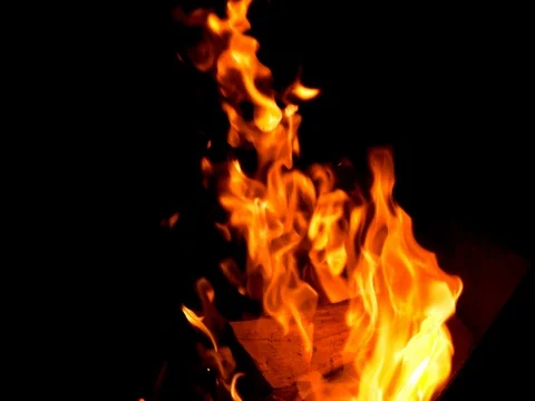 Fire: burning wood and smoldering embers Stock Footage 78551979