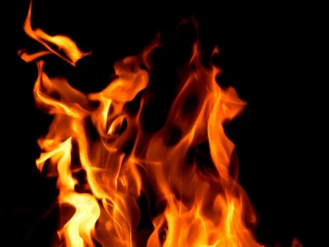 Fire: burning wood and smoldering embers Stock Footage 78552035