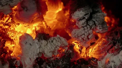 Fire of burning wood, close-up Stock Footage 68810075