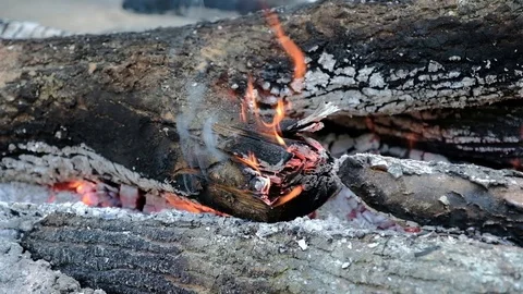 Fire burning wood during a halt. Stockbeeldmateriaal 97730689