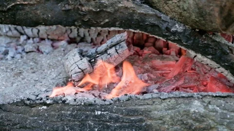Fire burning wood during a halt. 스톡 동영상 97730692