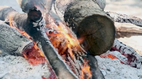 Fire burning wood during a halt. 動画素材 97730697