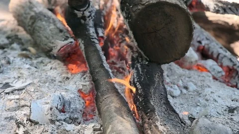 Fire burning wood during a halt. Видео 97730702