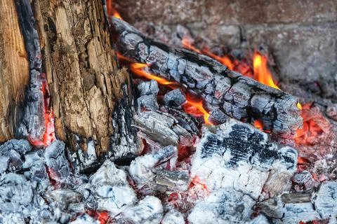 Fire. Burning wood fire. Stock Photos