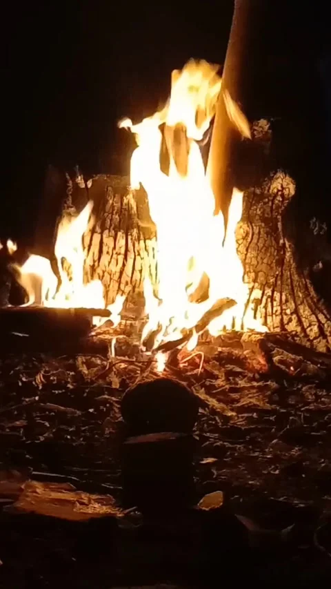 Fire Burning Wood in Fireplace, Flames Consuming Logs Stock Footage 297083512