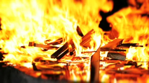 Fire / Burning Wood Stock Footage 816835