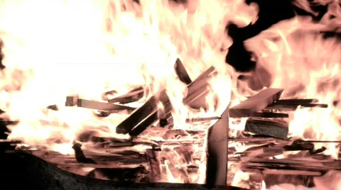 Fire / Burning Wood Stock Footage 816954