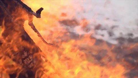Fire is Burning Wood Stock Footage 84856441