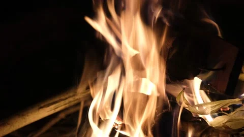 Fire, burning wood Stock Footage 143695895
