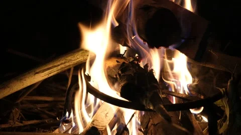 Fire, burning wood Stock Footage 143695983