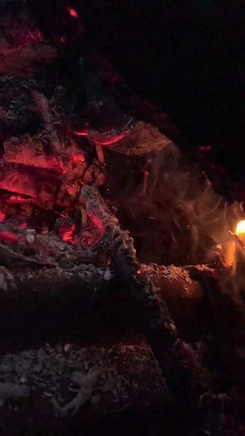 Fire burning wood Stock Footage 241499334