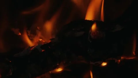 Fire burning from wood Stock Footage 304002960