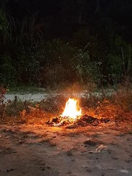 Fire from burning wood Stock Photos