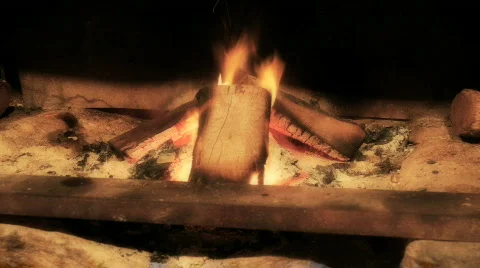 Fire / Burning Wood Timelapse Stock Footage 838904