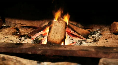 Fire / Burning Wood Timelapse Stock Footage 838929