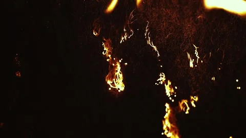 Fire Burns and Spreads Creating Embers Stock Footage 300884734