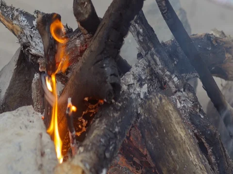 The fire burns on the beach, picnic Video stock 74124042