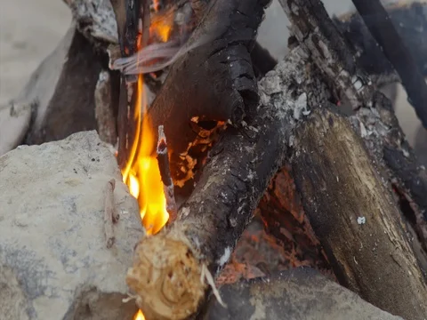 The fire burns on the beach, picnic Video stock 74124471