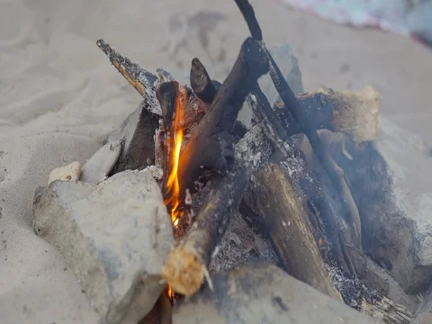 The fire burns on the beach, picnic Video stock 74124620