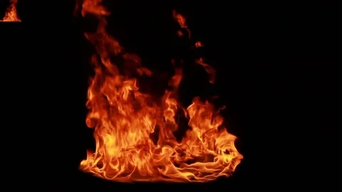 The fire burns on a black background Stock Footage