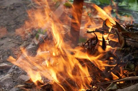 The fire burns with a bright flame Stock Photos