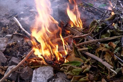 The fire burns with a bright flame Stock Photos