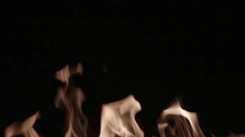 Fire burns. Campfire. Close-up of flames. Flames background image, slow motion Stock Footage 163043478