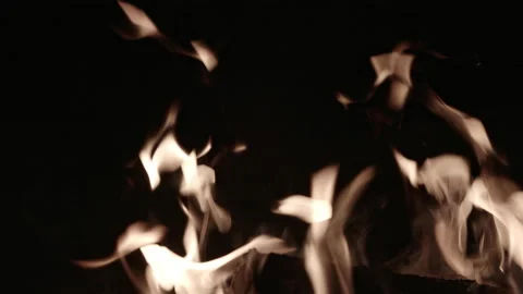 Fire burns. Campfire. Close-up of flames. Flames background image, slow motion Stock Footage 163043578