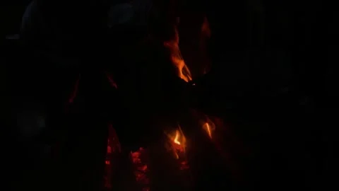 The fire burns in the chimney behind the glass Stock Footage 308061091