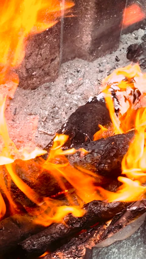 The fire burns with a clear flame, birch wood	 Stock Footage 285152623