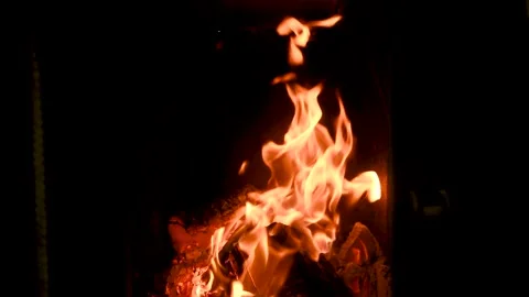 A fire burns in a fireplace. Fire to keep warm. Vidéo 166411351