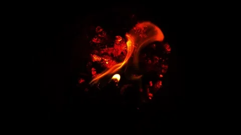 A fire burns in a fireplace. Fire to keep warm. fire video. Stock Footage 293486619