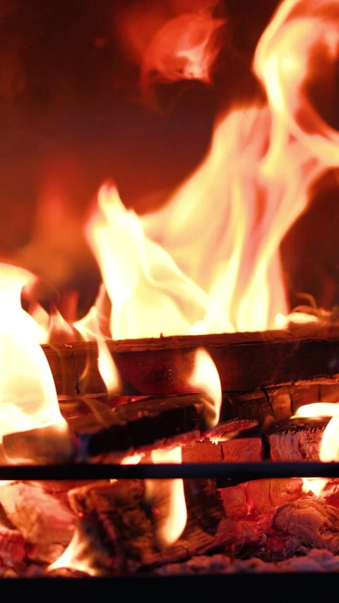 Fire burns in the fireplace Stock Footage 289503531