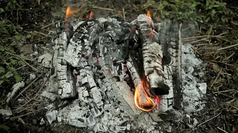 Fire burns Stock Footage 50396989