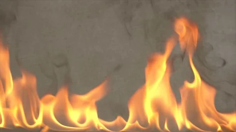 The fire burns on a gray background Stock Footage 103864126