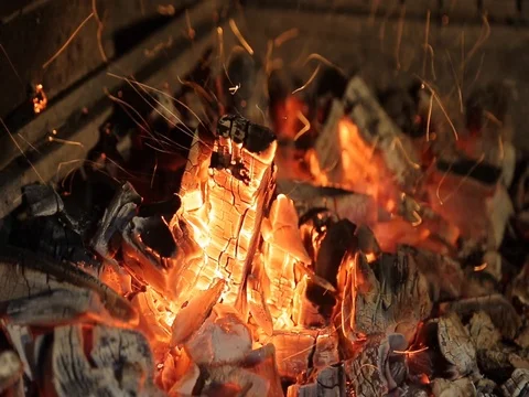 Fire burns in the grill Stock Footage