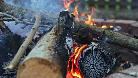 Fire burns logs with smoke rising during a gathering near a campsite in the 動画素材 334159000