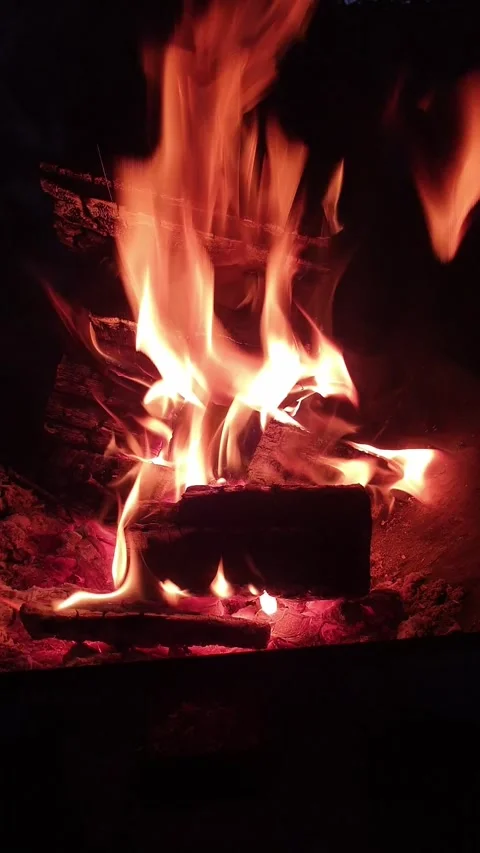 Fire burns at night in a fire pit Stock Footage 309880981