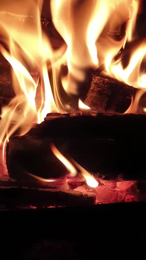 Fire burns at night in a fire pit Stock Footage 309880982
