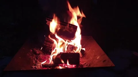 Fire burns at night in a fire pit Stock Footage 309881020